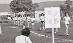 apr528.jpg