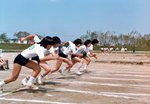 apr504.jpg