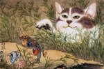 bakeneko.jpg