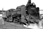 d51.jpg