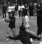 fuyu002.jpg