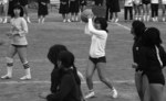 fuyu006.jpg