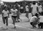 hirsakaki_001.jpg