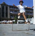 hurdle_d001.jpg