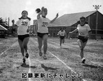 koho7.jpg