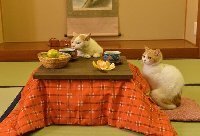 kotatsu01.jpg