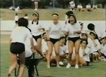 may308.jpg