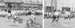 may478.jpg