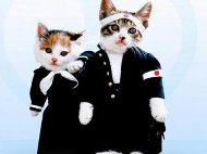 nameneko.jpg