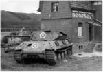 panter_fake.jpg