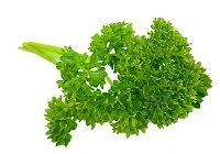 parsley.jpg