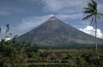 philippine_fuji.jpg