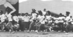 runners001.jpg