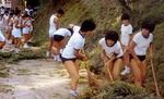 seisou-11.jpg
