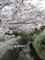 tetsugaku_no_michi.jpg