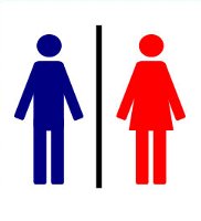 toilet.jpg