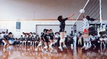 volley1.jpg