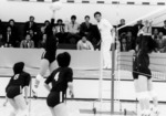 volley4.jpg