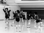 volley7.jpg