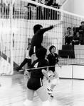 vvolley008.jpg