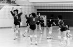 vvolley010.jpg
